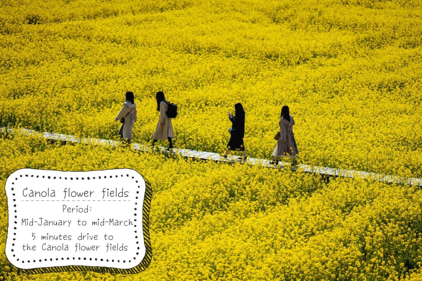 Villa Yumigahama 미나미이즈 외부 사진